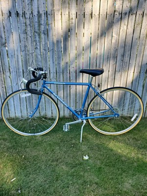 1988 schwinn sprint